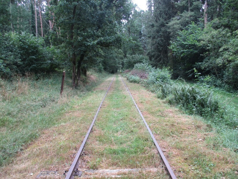 ZWNEGI1